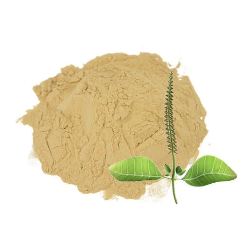 Achyranthes Aspera Extract جوہر پٹھکنڈا