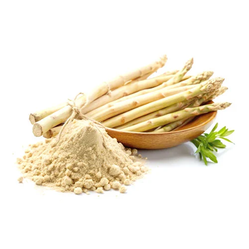 Asparagus Racemo Extract (Shatavari Extract) جوہر ستاور