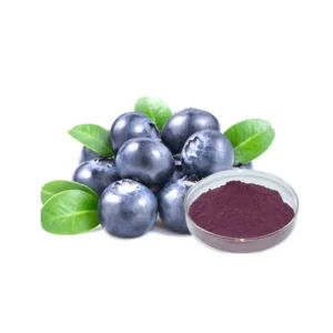 Bilberry Extract  بلیو بیری