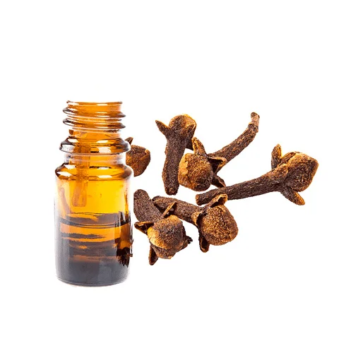 Clove Oil روغن لونگ
