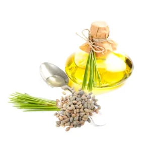 Croton Oil (Roghan e Jamalgota) روغن جمال گوٹہ