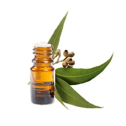 Eucalyptus Oil روغن سفیدہ