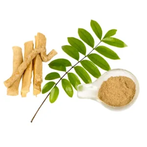 Eurycoma longifolia Extract (Longjack) جوہر تونکات علی