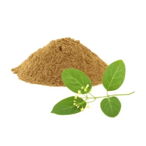 Gymnema Sylvestre گڑ مار بوٹی