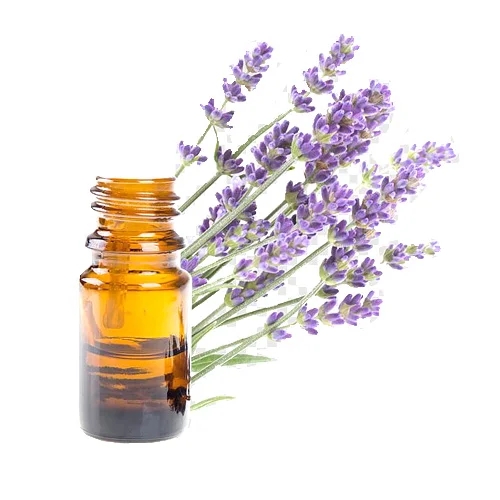 Lavender Oil روغن اسطخودوس