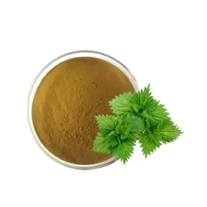 Nettle Leaf Extract  بچھو بوٹی