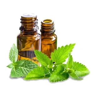 Peppermint Oil پپرامنٹ آئل