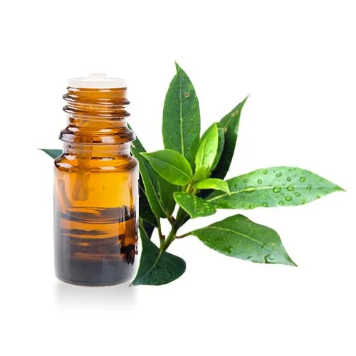 Tea Tree Oil ٹی ٹری آئل