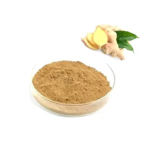 Zingiber Officinale (Ginger Extract) جوھرسنڈھ