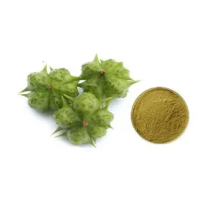 Tribulus terrestris Extract جوہر گھوکھرو